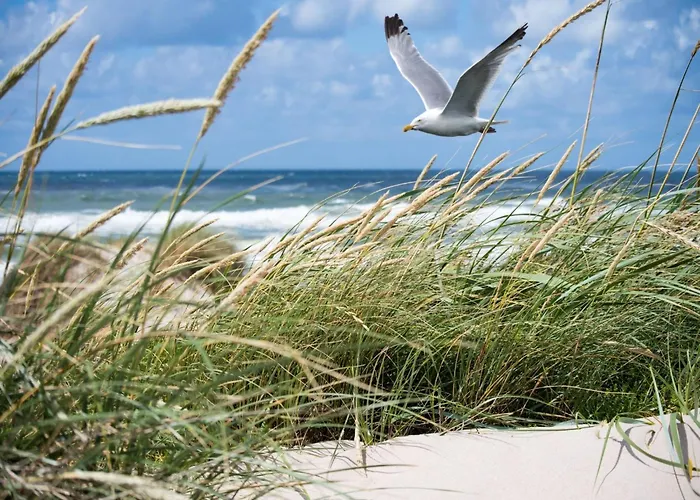 In Het Zoute Near The